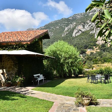 Country House Felicia Giungano Екстериор снимка